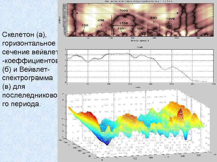 Скелетон (а), горизонтальное сечение вейвлет -коеффициентов (б) и Вейвлетспектрограмма (в) для послеледниково го периода.