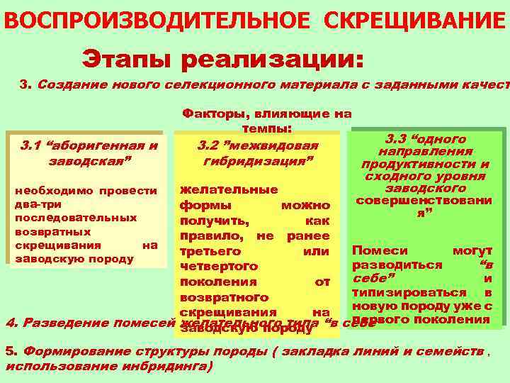 Схема воспроизводительного скрещивания