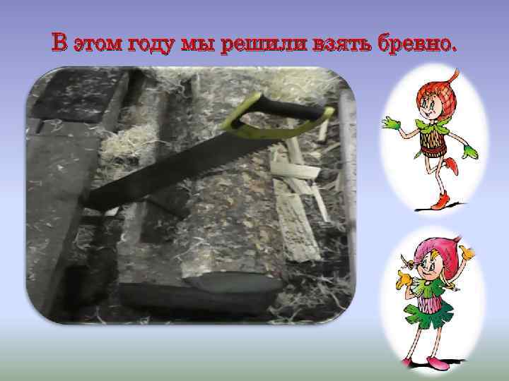 В этом году мы решили взять бревно. 