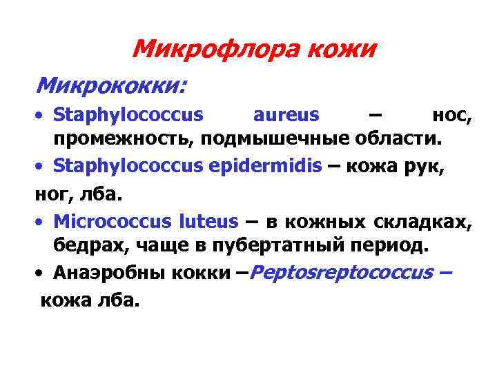 Микрофлора кожи Микрококки: • Staphylococcus aureus – нос, промежность, подмышечные области. • Staphylococcus epidermidis