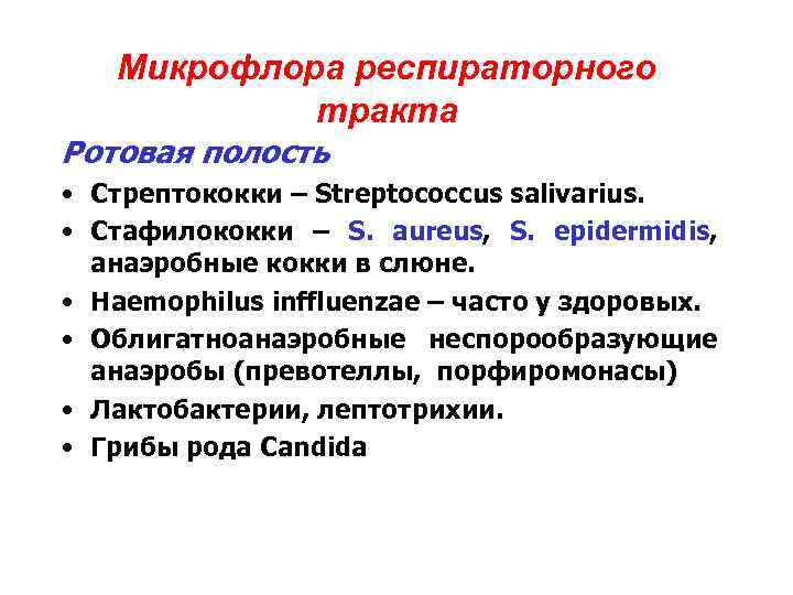 Микрофлора респираторного тракта Ротовая полость • Стрептококки – Streptococcus salivarius. • Стафилококки – S.
