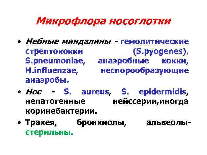 Микрофлора носоглотки • Небные миндалины - гемолитические стрептококки (S. pyogenes), S. pneumoniae, анаэробные кокки,
