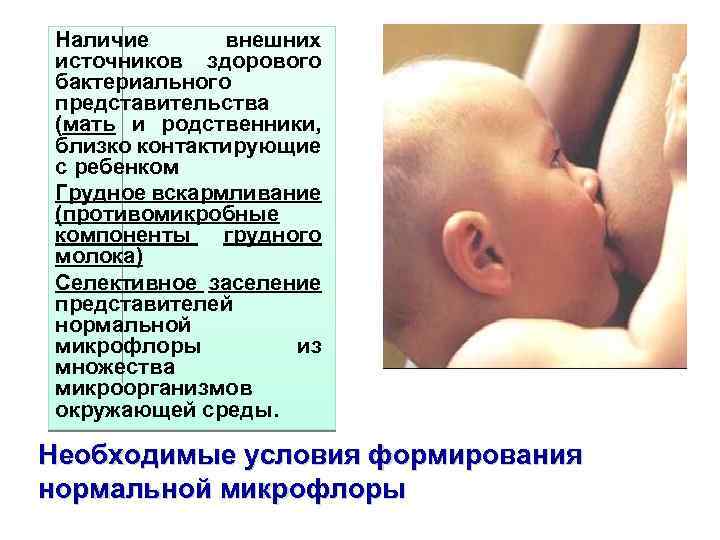 Наличие внешних источников здорового бактериального представительства (мать и родственники, близко контактирующие с ребенком Грудное