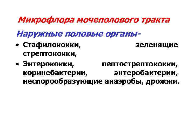 Микрофлора мочеполового тракта Наружные половые органы • Стафилококки, зеленящие стрептококки, • Энтерококки, пептострептококки, коринебактерии,