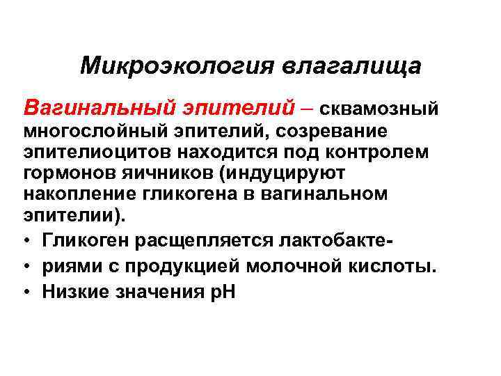 Микроэкология влагалища Вагинальный эпителий – сквамозный многослойный эпителий, созревание эпителиоцитов находится под контролем гормонов