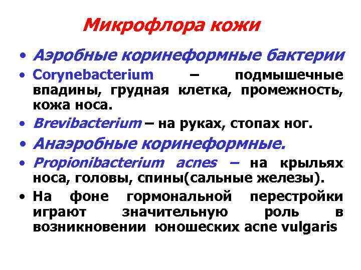 Микрофлора кожи • Аэробные коринеформные бактерии • Corynebacterium – подмышечные впадины, грудная клетка, промежность,