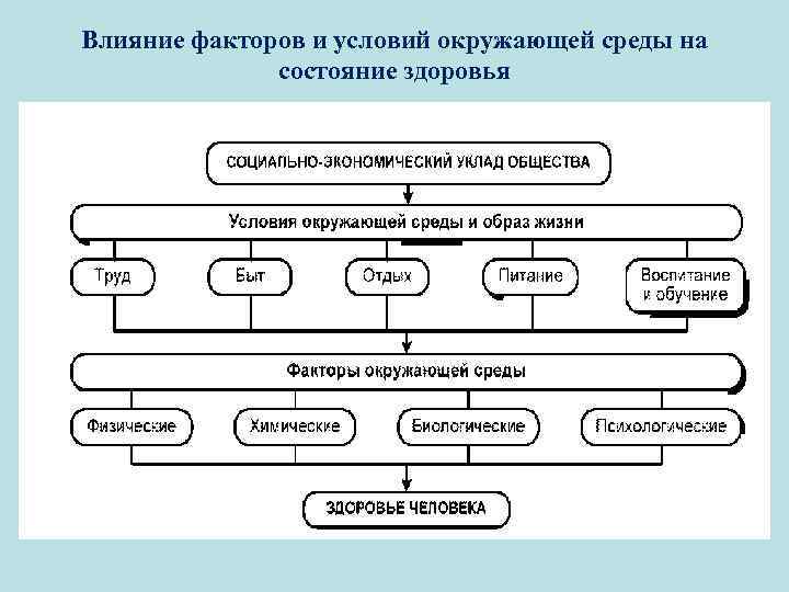 Влияние факторов и условий окружающей среды на состояние здоровья 