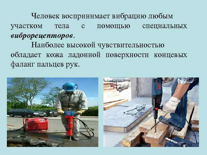 Человек воспринимает вибрацию любым участком тела с помощью специальных виброрецепторов. Наиболее высокой чувствительностью обладает