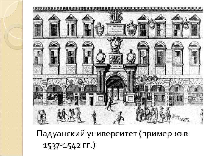 Падуанский университет (примерно в 1537 -1542 гг. ) 