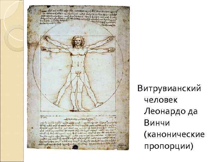 Витрувианский человек Леонардо да Винчи (канонические пропорции) 