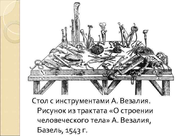 Стол с инструментами А. Везалия. Рисунок из трактата «О строении человеческого тела» А. Везалия,