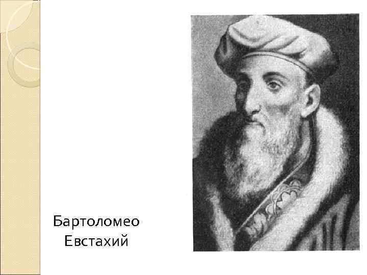 Бартоломео Евстахий 