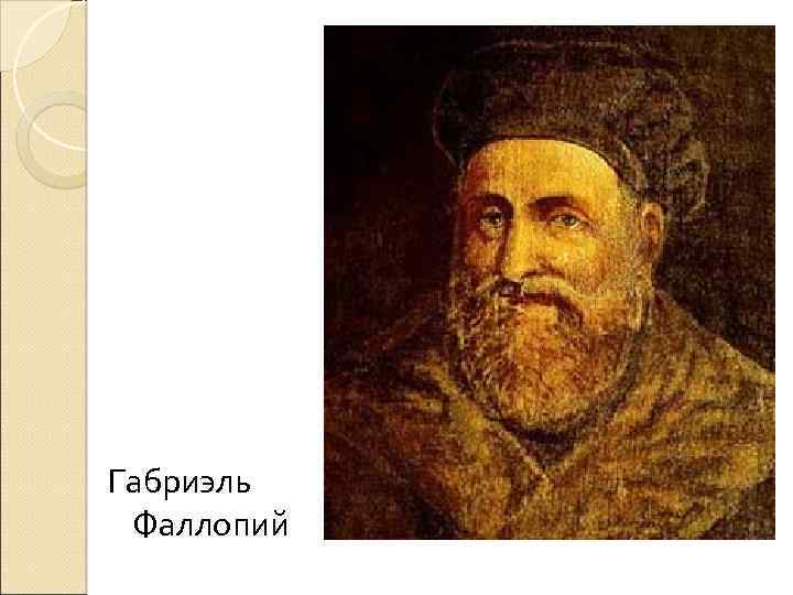 Габриэль Фаллопий 