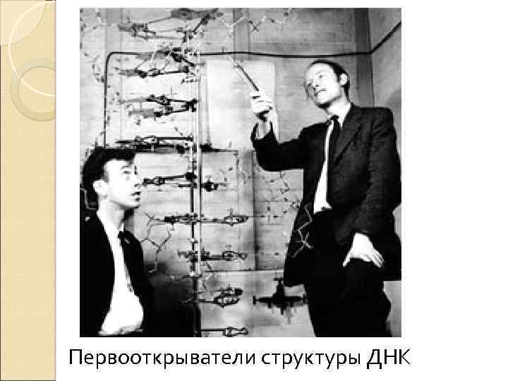Первооткрыватели структуры ДНК 