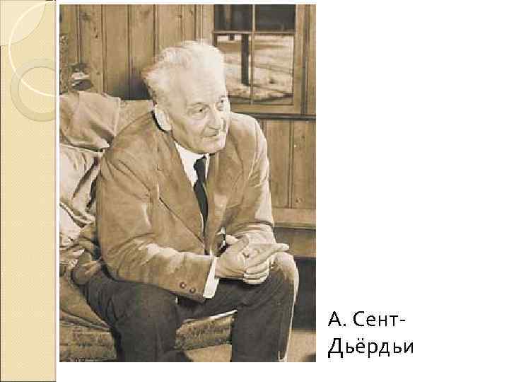 А. Сент. Дьёрдьи 