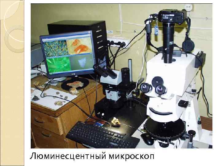 Люминесцентный микроскоп 