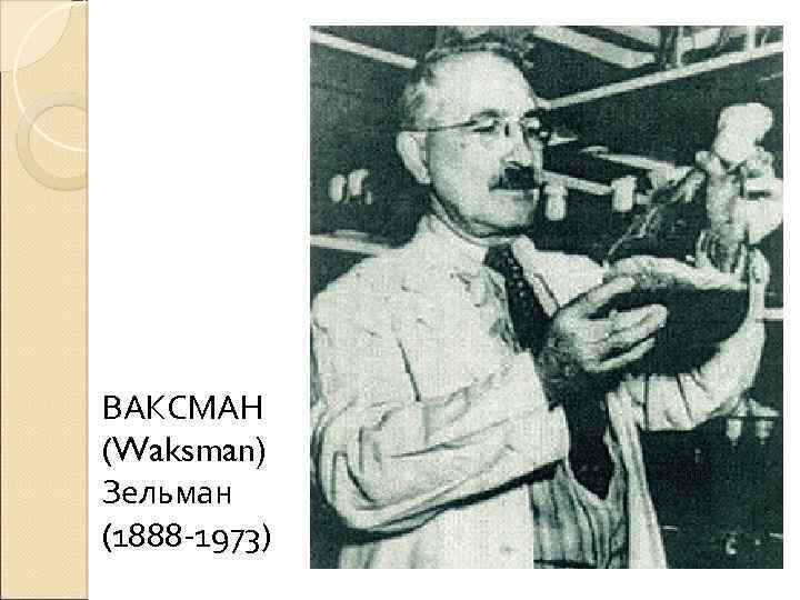 ВАКСМАН (Waksman) Зельман (1888 -1973) 