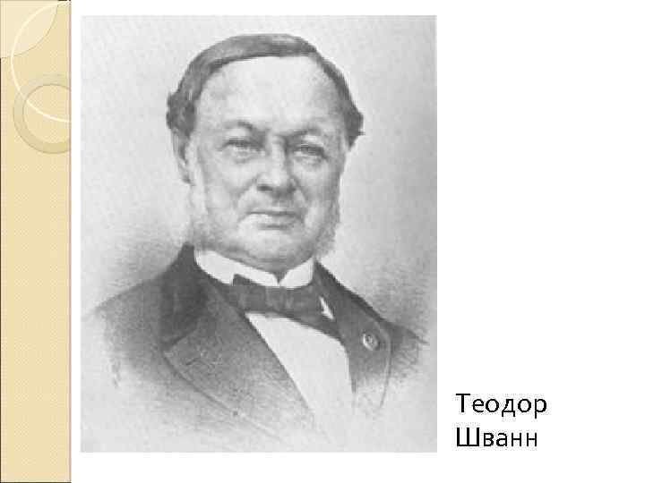 Теодор Шванн 