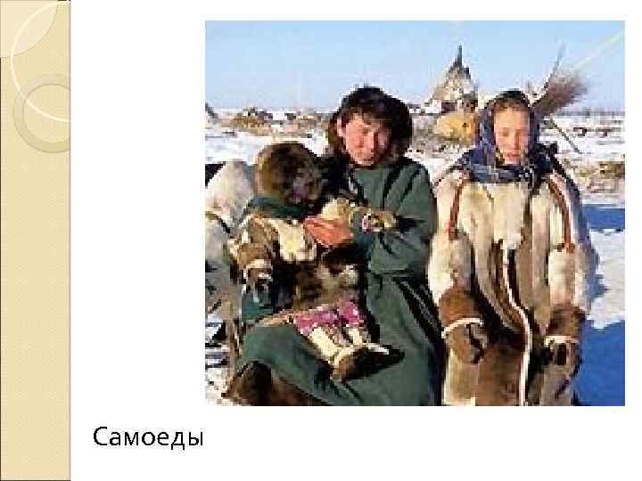 Самоеды 