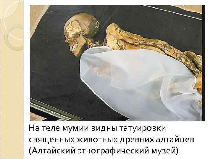 На теле мумии видны татуировки священных животных древних алтайцев (Алтайский этнографический музей) 