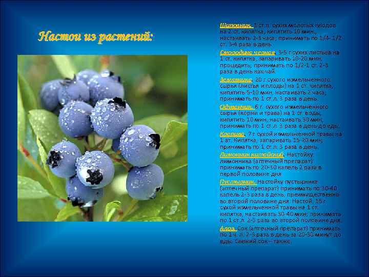 Настои из растений: Шиповник. 1 ст. л. сухих молотых плодов на 2 ст. кипятка,