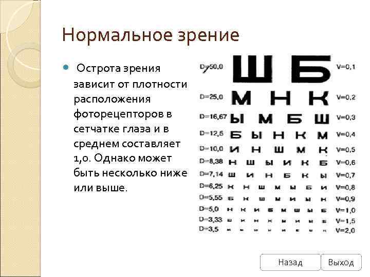 Нормальное зрение Острота зрения зависит от плотности расположения фоторецепторов в сетчатке глаза и в