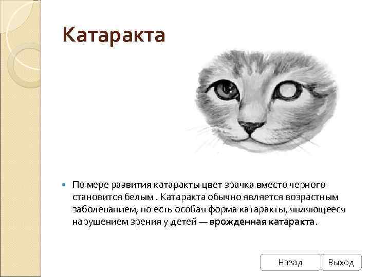 Катаракта По мере развития катаракты цвет зрачка вместо черного становится белым. Катаракта обычно является