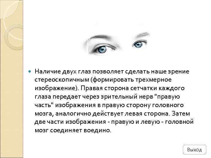 Зрение автор. Зрение двумя глазами позволяет увеличить. Отсутствие двух глаз человека. Наше зрение. Картинка почему 2 глаза.