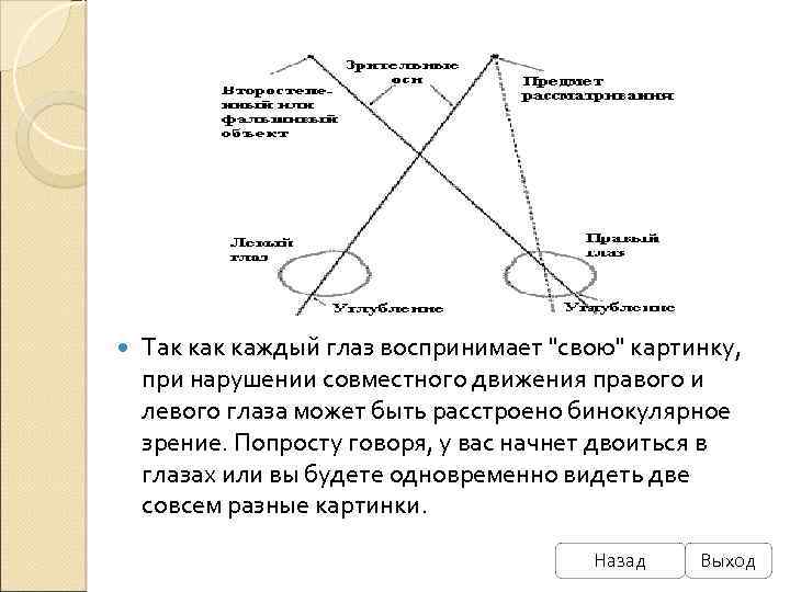  Так каждый глаз воспринимает 