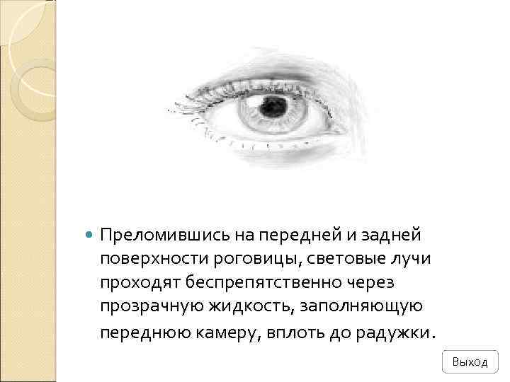  Преломившись на передней и задней поверхности роговицы, световые лучи проходят беспрепятственно через прозрачную