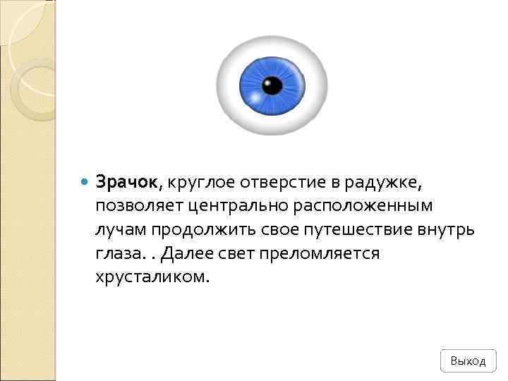  Зрачок, круглое отверстие в радужке, позволяет центрально расположенным лучам продолжить свое путешествие внутрь