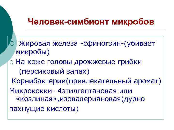 Человек-симбионт микробов ¡ Жировая железа -сфиногзин-(убивает микробы) ¡ На коже головы дрожжевые грибки (персиковый