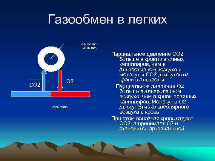 Молекулярный кислород