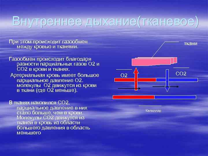 Компоненты перемещения. Парциальное давление в тканях. Парциальное давление газов в тканях. Внутреннее дыхание осуществляется. Парциальное напряжение кислорода в тканевой жидкости.