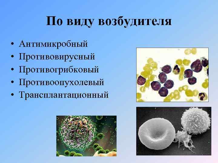 По виду возбудителя • • • Антимикробный Противовирусный Противогрибковый Противоопухолевый Трансплантационный 
