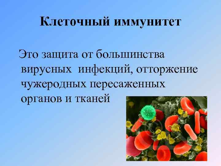 Клеточный иммунитет Это защита от большинства вирусных инфекций, отторжение чужеродных пересаженных органов и тканей
