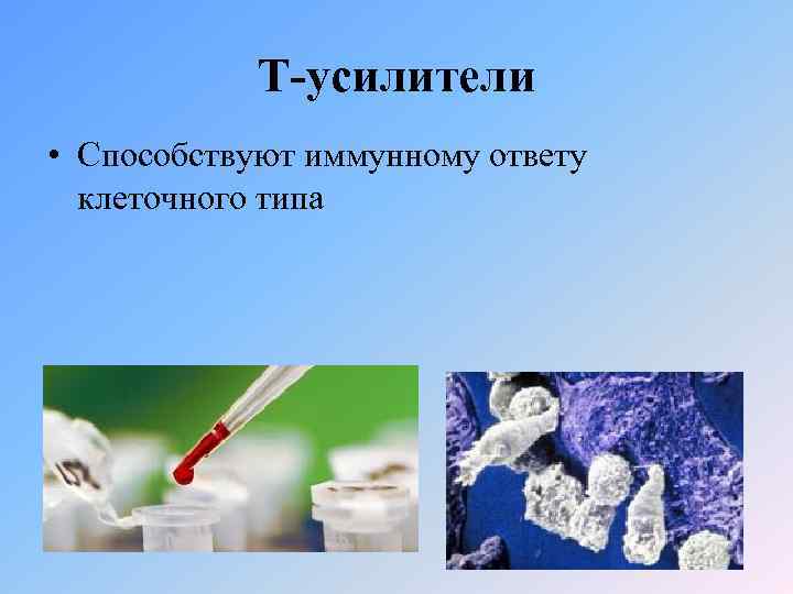 Т-усилители • Способствуют иммунному ответу клеточного типа 