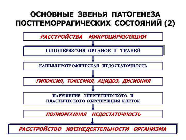 Основное звено патогенеза. Основные патогенетические звенья. Капилляротрофическая недостаточность механизм развития. Звенья патогенеза. Основные звенья патогенеза нарушения микроциркуляции.