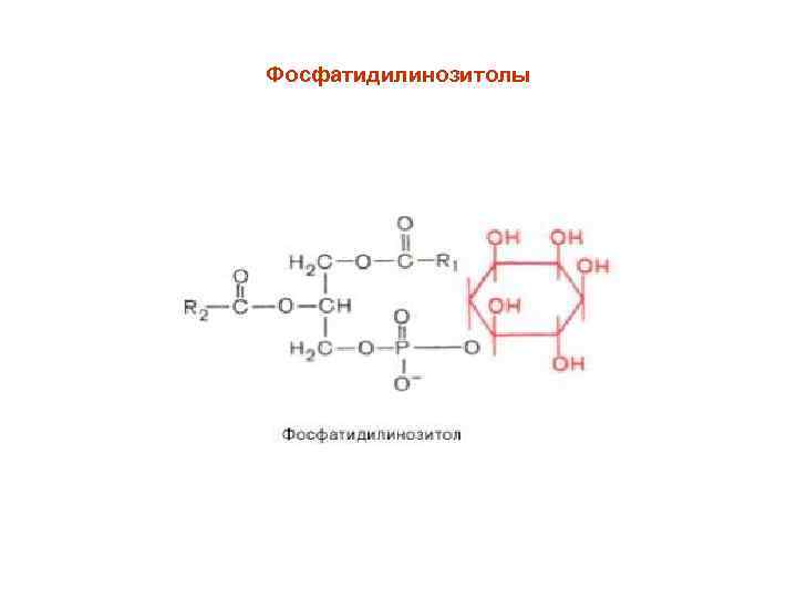 Фосфатидилинозитолы 