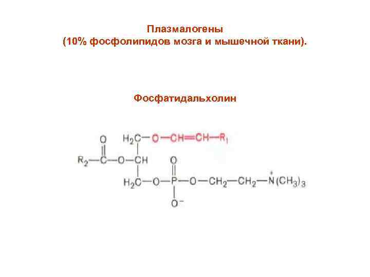 Плазмалогены (10% фосфолипидов мозга и мышечной ткани). Фосфатидальхолин 