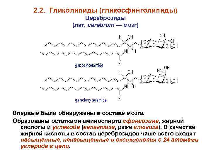 2. 2. Гликолипиды (гликосфинголипиды) Цереброзиды (лат. cerebrum — мозг) Впервые были обнаружены в составе