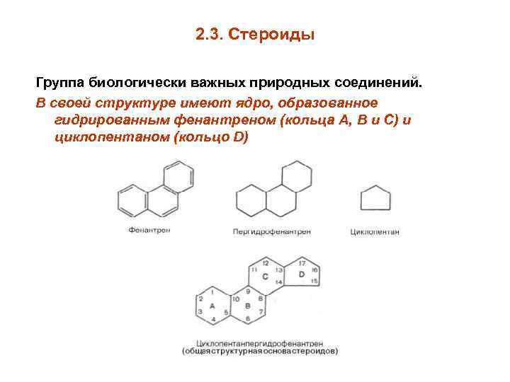 2. 3. Стероиды Группа биологически важных природных соединений. В своей структуре имеют ядро, образованное