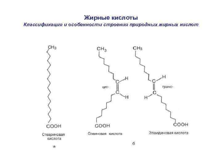 Жирные кислоты Классификация и особенности строения природных жирных кислот 