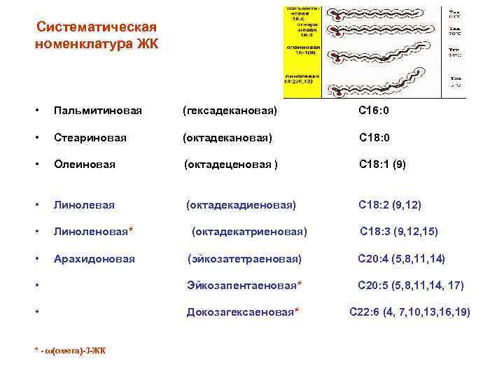 Систематическая номенклатура ЖК • Пальмитиновая (гексадекановая) С 16: 0 • Стеариновая (октадекановая) С 18: