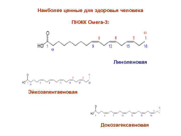 Наиболее ценные для здоровья человека ПНЖК Омега-3: Линоленовая Эйкозапентаеновая Докозагексаеновая 