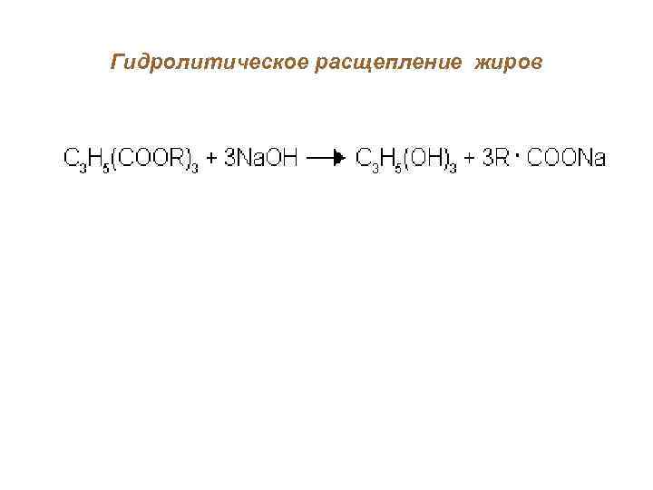 Гидролитическое расщепление жиров 