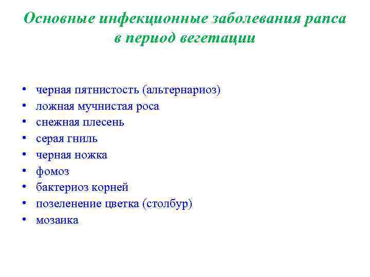 Основные инфекционные заболевания рапса в период вегетации • • • черная пятнистость (альтернариоз) ложная