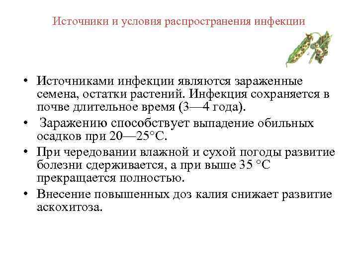 Источники и условия распространения инфекции • Источниками инфекции являются зараженные семена, остатки растений. Инфекция