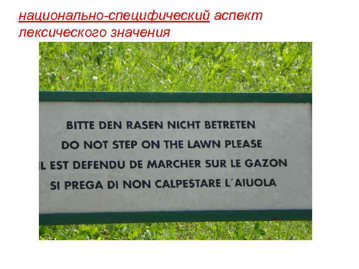 национально-специфический аспект лексического значения 
