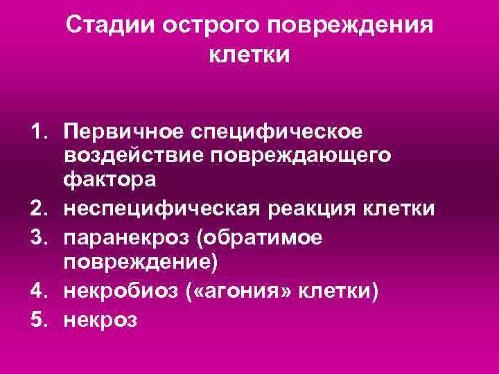 Стадии острого повреждения клетки 1. Первичное специфическое воздействие повреждающего фактора 2. неспецифическая реакция клетки